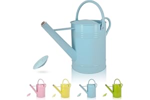 ‎LONGRUN LONGRUN 6,5L Gießkanne mit Rosensprinkler, verzinktes Eisen, Hellblau, für Garten- und Pflanzenbewässerung im Innen- und Außenbereich
