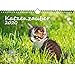 Produktbild Katzenzauber DIN A4 Kalender 2020 Katzen und Katzenbabys - Seelenzauber