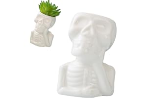 Ourhommie Skull Funny Succulent Planter Pot, Ceramic Air Plant Holders Novelty Cactus Display Container Miniature Plants Pots Small Pottery Bonsai Pots Home Decor for Desk Table Shelf Window, No Plant