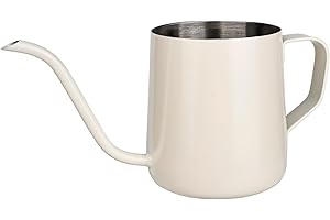 XTDMJ Arrosoir blanc de 250 ml - Pour plantes d'intérieur - Mini arrosoir en acier inoxydable - Long bec - Arrosoir de jardin pour plantes d'intérieur et plantes succulentes