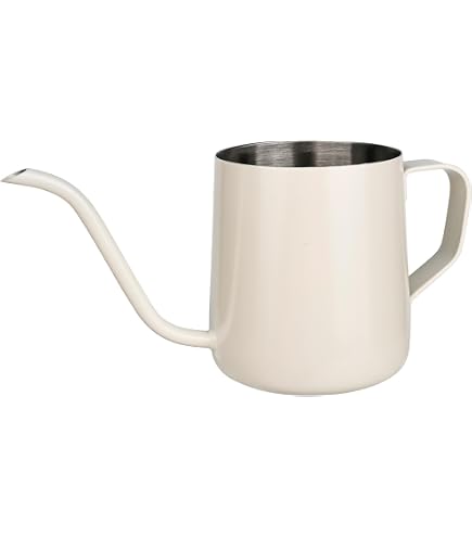 LEKEFETO Arrosoir Blanc 1L En Acier Inoxydable - Bec Long Et Manche Bois Pour Plantes D'Intérieur, Succulentes Et Fleurs