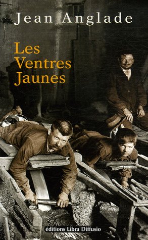 couverture de : Les Ventres jaunes