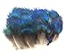 Produktbild ERGEOB Pfauenfedern blaufedern DIY Basteln Federn 6-8 cm (2-3 Zoll) Länge