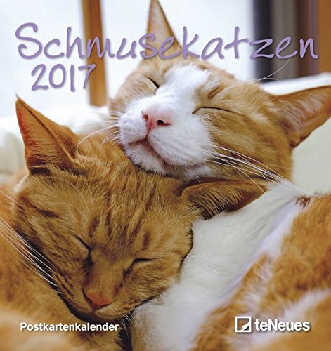 Download Schmusekatzen 2017. Postkartenkalender