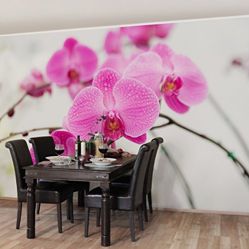 Vliestapete – Nahaufnahme Orchidee – Fototapete Breit Vlies Tapete Wandtapete Wandbild Foto 3D Fototapete, Größe HxB: 225cm x 336cm - 3