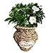 Produktbild Supertop Pastoralen gewebten Blumentopf Strohkorb geflochtene Dekoration Handwerk Vintage Vase Topf handgemachte rustikale Vase Chic Retro für Home Decor Storage