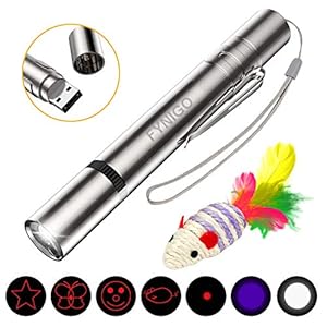 FYNIGO Juguetes interactivos para Gatos, Recargables por USB, función 4 en 1, Herramienta de Entrenamiento de Mascotas y un ratón de Juguete