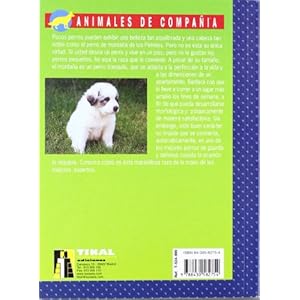 Montaña de los pirineos