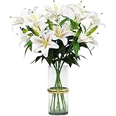 Olrla 4 Stems Artificial Tiger Lily 60 cm, Champagne Gradient | Flexible Stem, Real Touch Flowers, Perfect for Flower Arrange