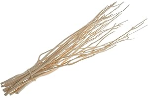MATCHES21 HOME & HOBBY matches21 Mitsumata - Rami decorativi in legno con rami legnosi, materiale naturale, 1 orlo da 15 rami da 70 cm, colore naturale