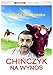 Un cuento chino [DVD] (Audio español)