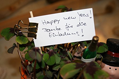 Original Mauly Klemmer 25 mm, Lifehack-Klemmer, Schwarz, Klemmweite 9 mm, 2142590, Karton 12 Stück - 2