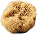 Unbleached Fine Silk Natural Sea Sponge - smooth and silky