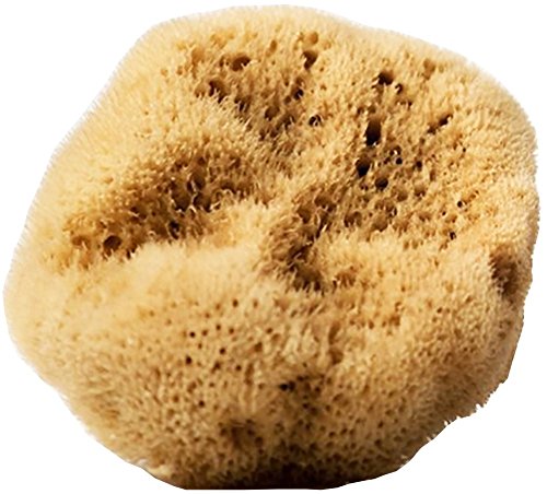 Unbleached Fine Silk Natural Sea Sponge - smooth and silky