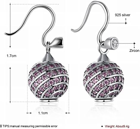 JJHVUGI Sterling Silver Spiral Striped Earrings / Stainless Steel / Anti-allergic / Silver Shining / Diamond / Greyhound Earrings,B