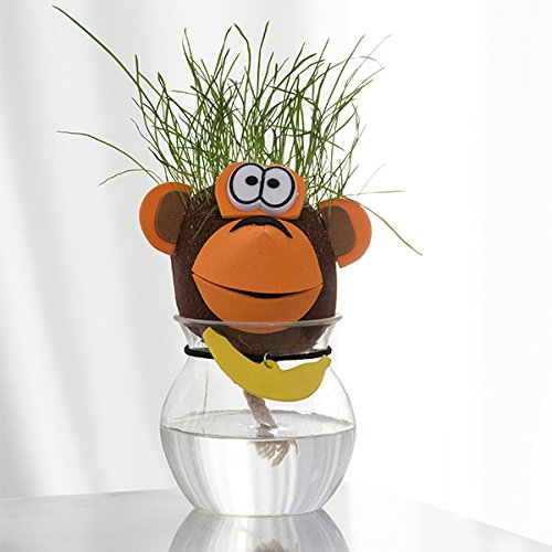 Genérico - Cabeza de Hierba Animales