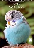 Wilde Wellensittiche (Wandkalender 2014 DIN A4 hoch): Wunderschöner Wellensittichkalender mit atemberaubend schönen und farbenprächtigen Fotografien ... Vögel. (Monatskalender, 14 Seiten) by 