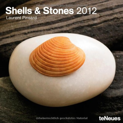 Shells & Stones 2012