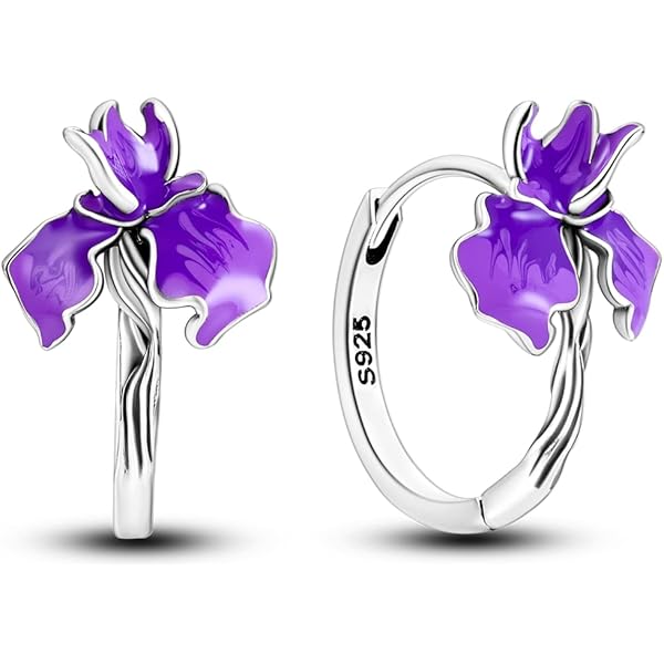 Kleine creolen van 925 zilver voor dames, hypoallergeen, cadeau voor dames, Zilver, Geen edelsteen Kleine creolen van 925 zilver voor dames, hypoallergeen, cadeau voor dames, Zilver, Geen edelsteen