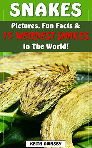Download 15 Weirdest Snakes in The World! (Weirdest Animals in the World!)