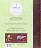 Image de Jardineria fácil / Bonsáis
