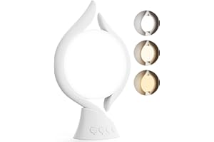 Wopigh Daylight Lamp 10,000 Lux, Sunlight Lamp with 3 Light Colours, 4 Timers, 5 Adjustable and Memory Function, Light Intensity, UV-Free Sunlight Lamp for Home/Office (Blanco, 2)