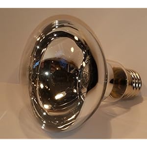 TerraMira 100W Basking Bulb / Tageslicht Wärmelampe