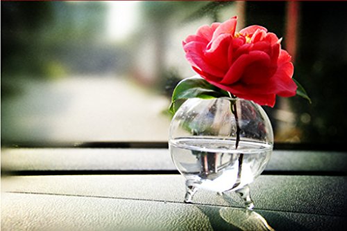Generic Glas Hydroponischen mini Vase Kugel Mikro Landschaft DIY Flasche Terrarien Fisch Behälter 8cm - 6