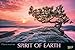 Produktbild Spirit of Earth 2019: Großer Foto-Wandkalender über die atemberaubende Natur unserer Erde. Panorama Querformat: 58x39 cm.