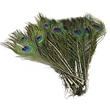 Estone 50pcs Beautiful Natural Peacock Tail Feathers About 10-12inch For DIY Decoration