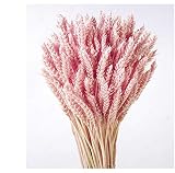 Trigo preservado de alta calidad. Origen España. Paquetes de 200 gramos. Medida 80 cm. Trigo preservado color rosa claro.