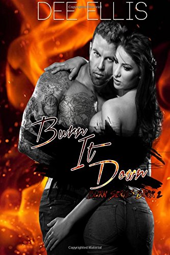 Preisvergleich Produktbild Burn It Down (The Burn Series)