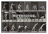 Image de Eadweard Muybridge. Muybridge recall. Catalogo della mostra (Milano, 19 maggio-1 ottobre 2016). Ediz. multilingue