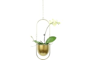 Beihaoer Maceta de decoración colgante de metal, estilo bohemio, cesta colgante de techo, plantador colgante para plantas de interior, plantas suculentas, cactus (dorado)