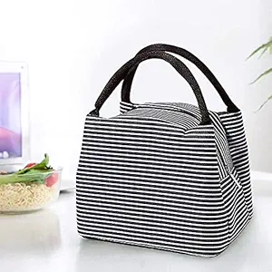 Lucario Womens and Kids Premium Stain Dust Free Thermal Lunch Tiffin Food Bag Handbag for Office Casual Daily