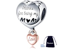Pandach Charme Argent Sterling 925 Femmes Perles Charm avec 5A Zircone Compatible pour Pandora & Européen Bracelets
