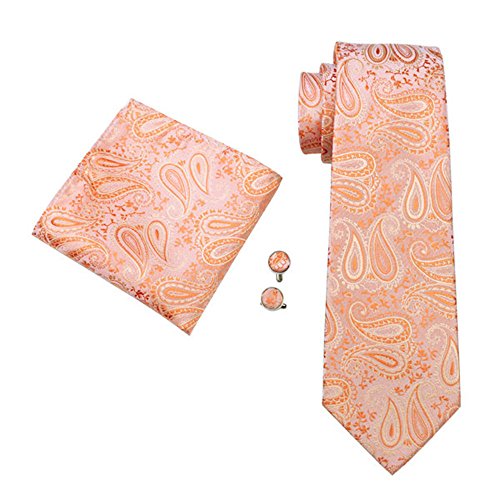 Jenson Samuel ShirtsMens Silk Paisley Striped Check Floral 100% Silk Woven Neck Tie, Pocket Square Hanky Cufflink Set