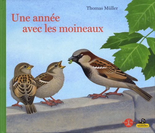 couverture de : une année avec les moineaux