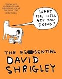 What The Hell Are You Doing?: The Essential David Shrigley by 
