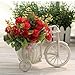 Produktbild Gamloious Plastic Weiß Dreirad Fahrrad-Design-Blumen-Korb-Behälter für Blumen-Anlage Hochzeit Dekoration macetas Grandes para plantas