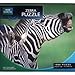 Produktbild Puzzle - 1000 Teile von BBC Planet Earth - Zebras [UK Import]