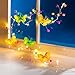 Produktbild Lichterkette "Sommer" Sommerbeleuchtung Indoorbeleuchtung Outdoorbeleuchtung Schmetterlingskette Partybeleuchtung Gartenbeleuchtung