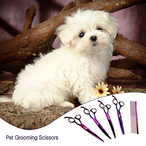Pet-Grooming-Scissors-Kit-Focuspet-5-PCS-Cutting-Thinning-Curved-Scissors-Comb-with-Pouch-Purple