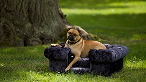 Balmoral-Pet-sofa-in-Ebony-Crushed-velvet-with-matching-lux-fill-cushion