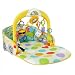 Fisher Price 3 in 1 Convertible Car Gym, Multi Color RS.3349.00