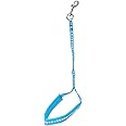 Groom Professional Allon Basic Noose With Padding Paw Print, 45 cm, Cyan Blue