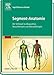 Produktbild Segment-Anatomie: Der Schlüssel zu Akupunktur, Neuraltherapie und Manualtherapie