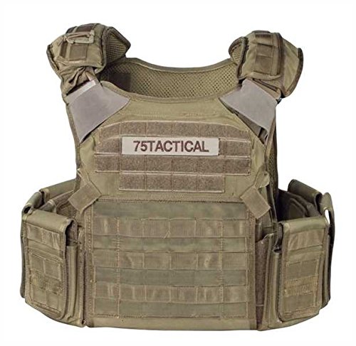 Preisvergleich Produktbild 75Tactical SIGMA 200 Plattenträger Coyote