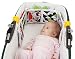 Taf Toys Kooky Clip-On Pram Book