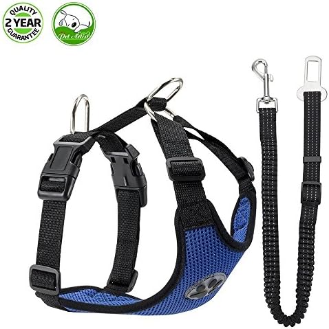 Berennis Dog Safety Vest Harness, Adjustable Double Breathable Mesh Fabric Vest Harness and Safety Seat Belt with Elastic Nylon Bungee Buffer in Cars Vehicle for Small Medium Large Dogs Travel Daily Walks (Small, Blue)